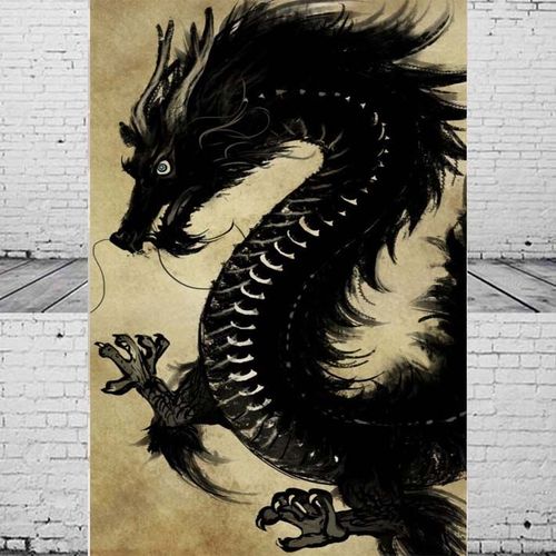 中国龙画像海报青龙飞龙在天双龙戏珠客厅卧室书房办公室装饰画12