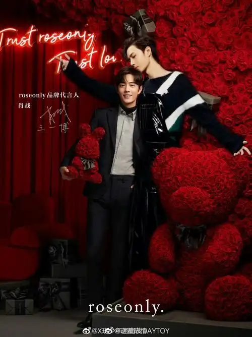 博君一肖王一博肖战