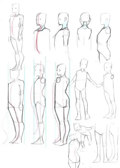 人体结构教程作者浮光studiolofter