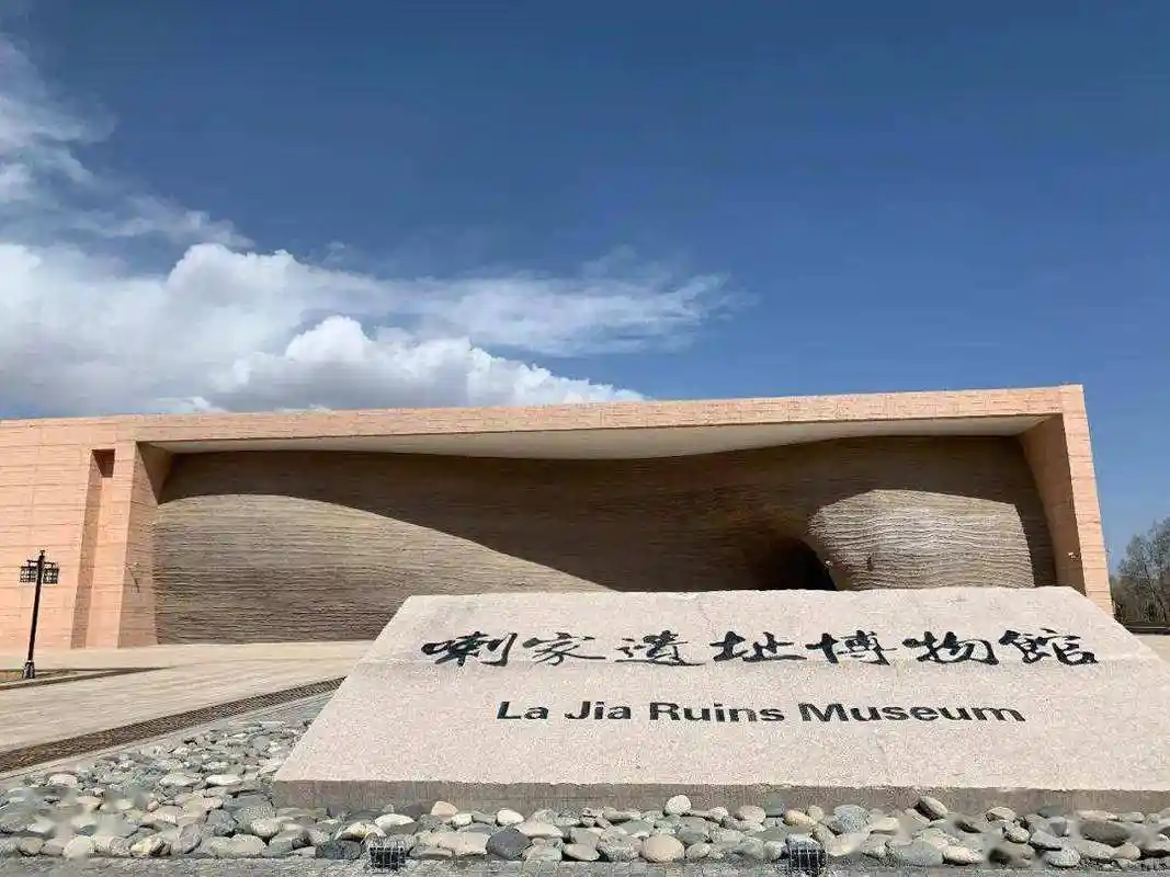 喇家遗址发现一碗面条,面条中的两种配料,说明这碗面条味道不错