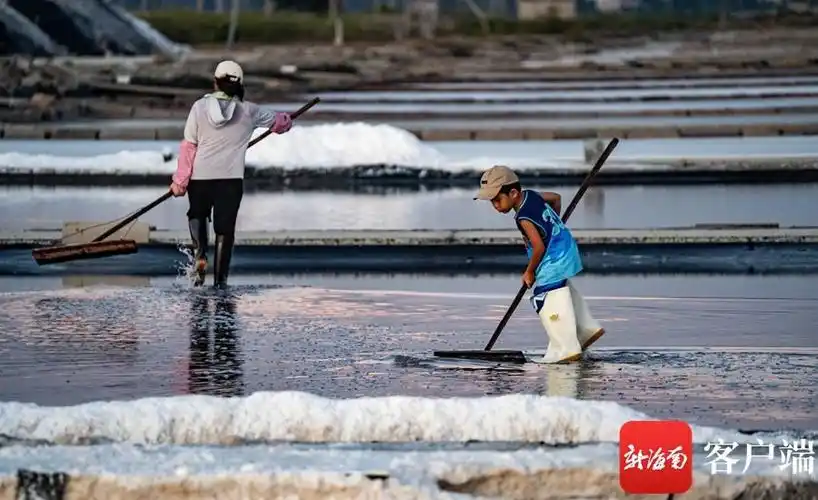 三伏天,天气炎热,海盐易结晶,盐工们忙碌晒盐.记者 刘孙谋 摄