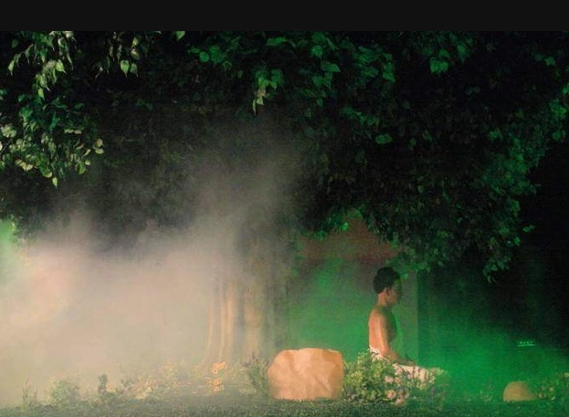 恒河岸边的菩提树下