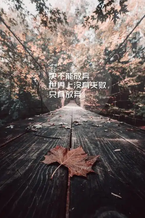 唯美青春励志文字控jpg格式图片下载_熊猫办公