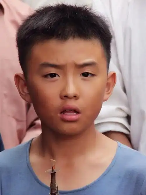 《百鸟朝凤》是导演吴天明于2016年上映的电影作品,由陶泽如,胡先煦