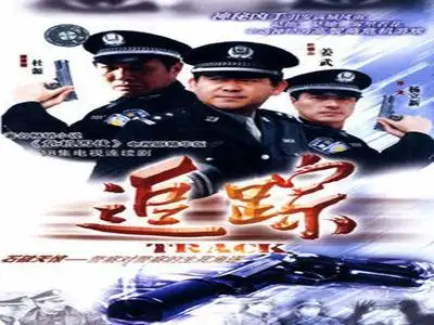 追踪(2004年姜武,杨立新主演电视剧)_百度百科