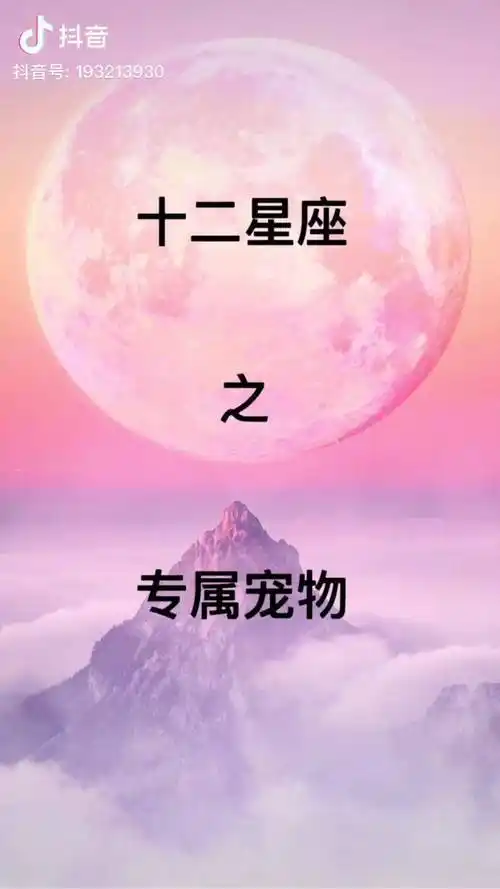 十二星座星座十二星座专属宠物