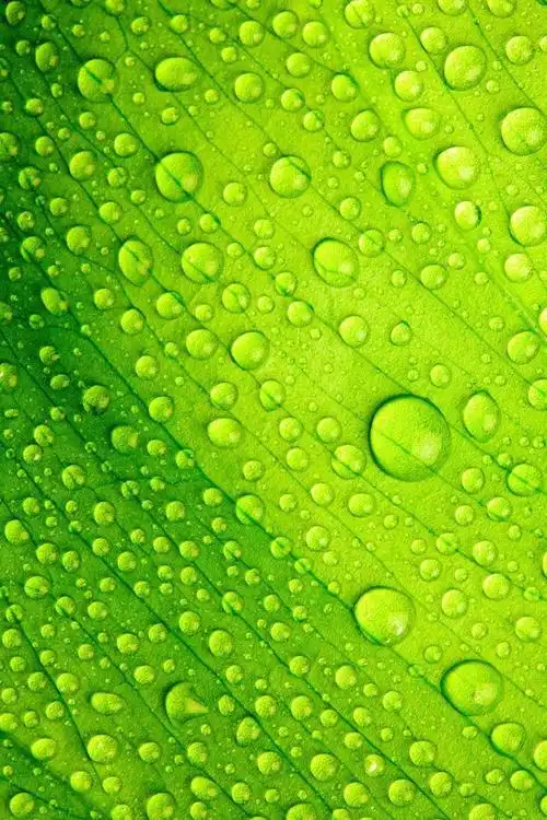 2019-06-24麟趾美2019-08-26伊凡养眼景色2019-01-04