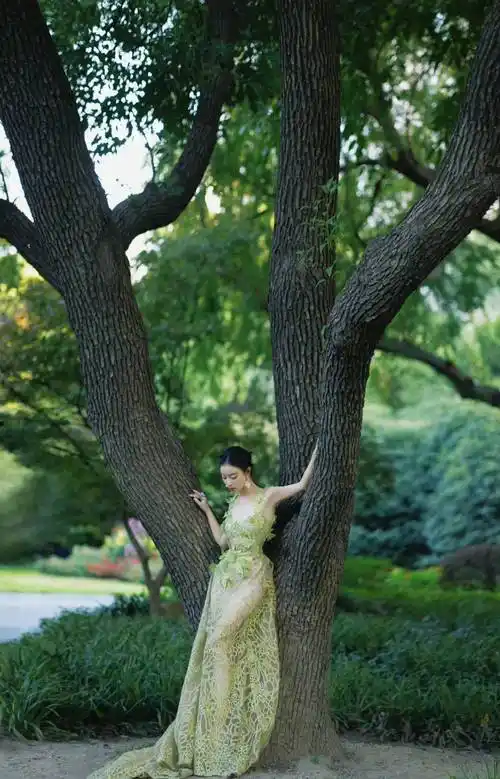 柳岩深v乳沟太吸睛,高圆圆展现完美s身材曲线,本届金鸡奖哪位明星赢麻