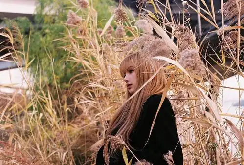 lisa9日通过自身ins公开了两张近况照,照片中lisa以黄金色的芦苇丛为