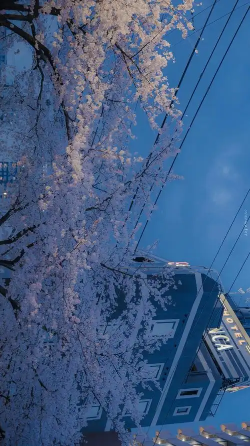 ins小清新夏日丨壁纸