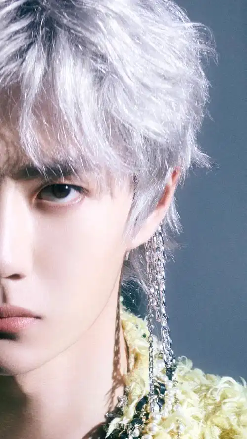 王一博##王一博银发撕漫感大片