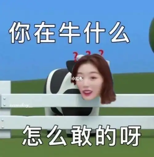 孔雪儿表情包好可爱