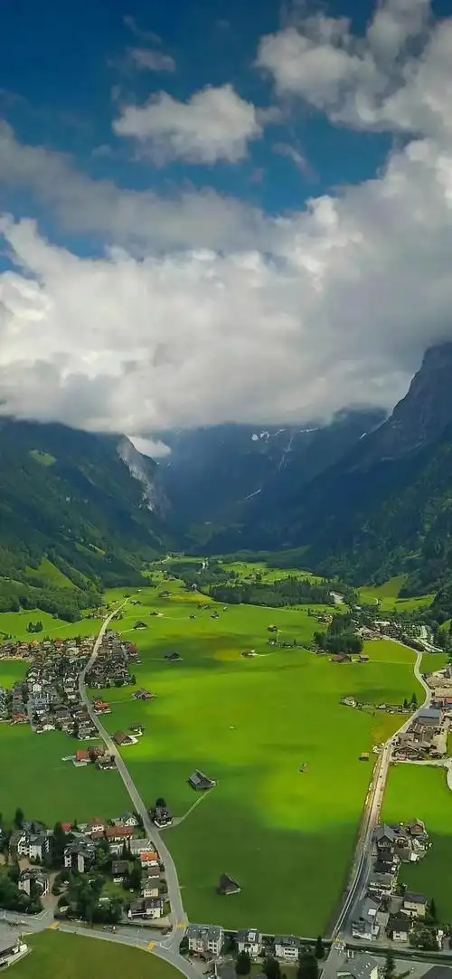 壁纸 | 高清养眼绿色壁纸,熬夜党看过来