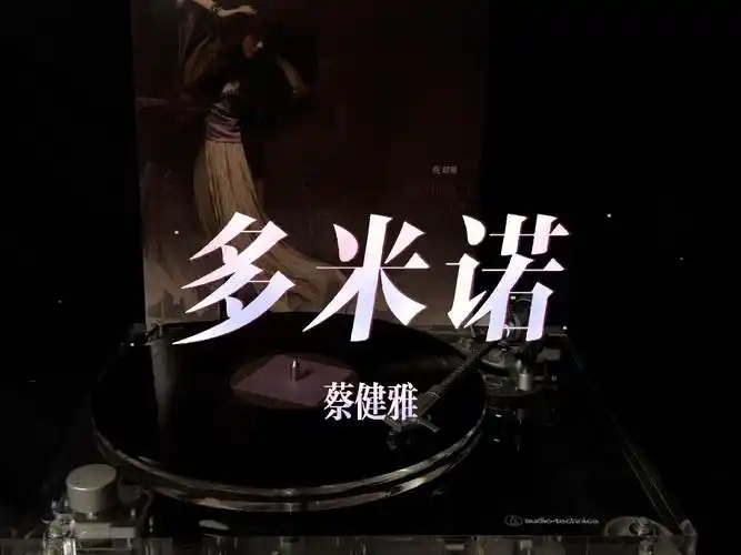 蔡健雅黑胶试听《多米诺》|专辑《说到爱》|4k/hi-res