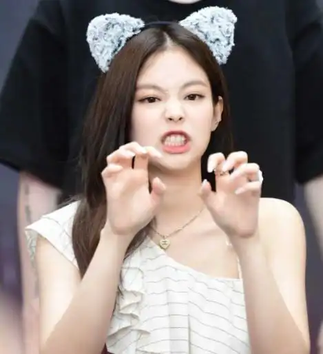 相对而言,jennie偏奶一些,装凶也会很可爱.