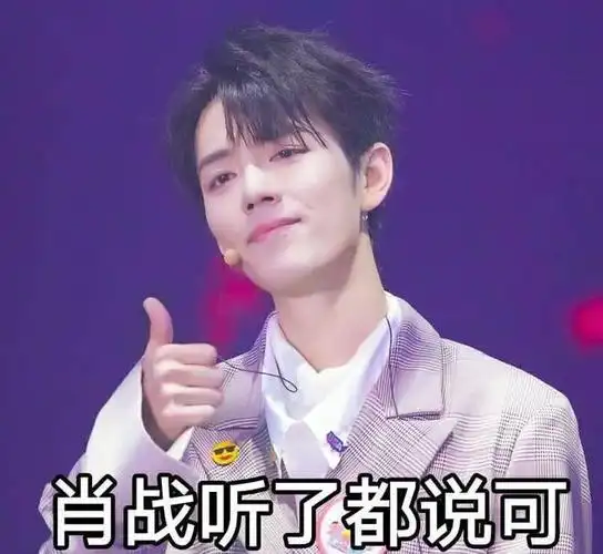 肖战可爱表情包来自小赞的美颜暴击看看我好不好