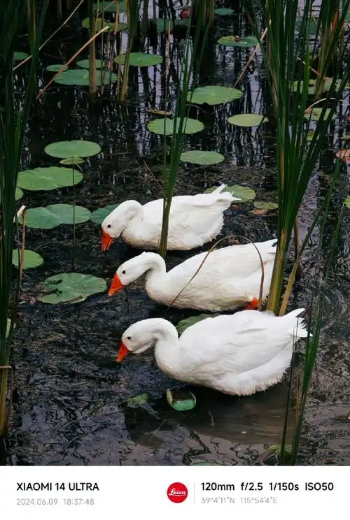 tuziphoto##手机摄影