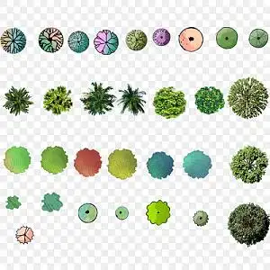 卡通景观数木平面树psd矢量素材