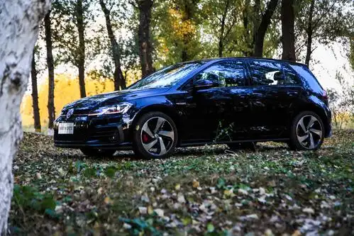 黑武士本尊,新高尔夫gti,信仰,情怀聊太多却忘记你是个分裂者