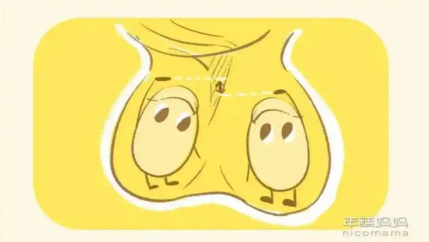 蛋蛋_睾丸_孩子