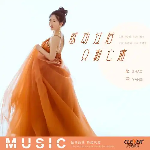 赵洋感动过后只剩心痛