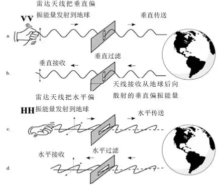 sar 图像处理 - csdn