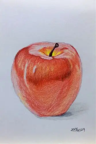 人到中年学画画