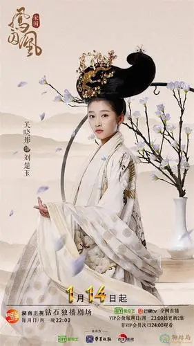 凤囚凰海报剧照(4/11)-聊结局