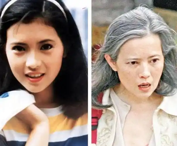 蓝洁瑛去世原因是什么55岁突然离世蓝洁瑛离世令人不解