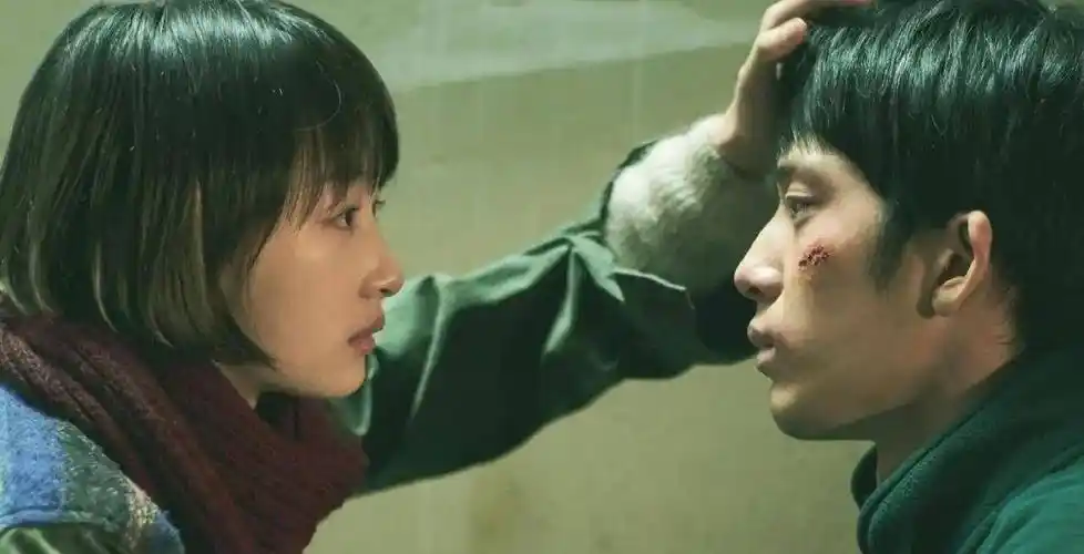 井柏然的表演艺术,电影《后来的我们》中的角色形象与情感呈现_观众