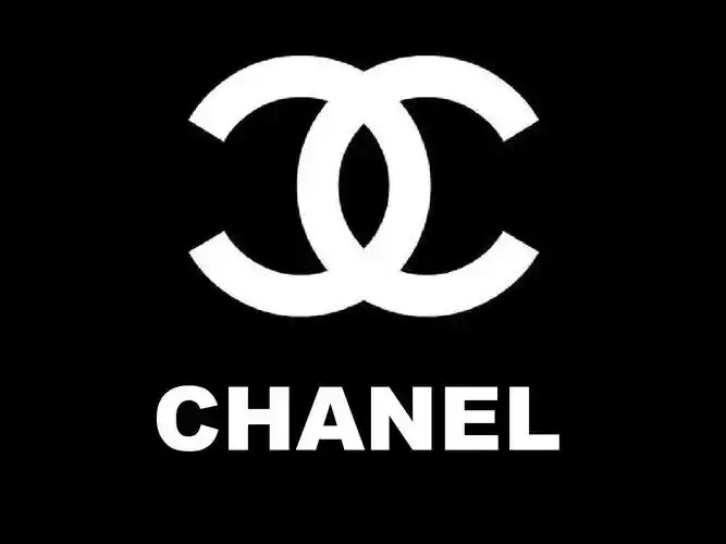 chanel 香奈儿2013最新精品ppt_word文档在线阅读与下载_免费文档