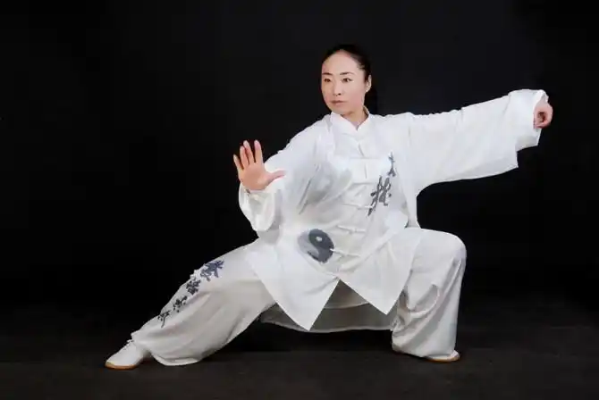 我对学陈氏太极拳的感悟