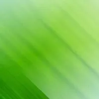 微信聊天背景图片大全绿色简约 简单绿色护眼聊天背景图【点击鼠标