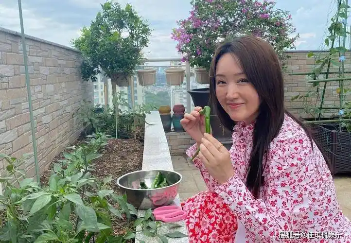 52岁杨钰莹现状曝光:前男友入狱,在深圳豪宅种辣椒,独居不寂寞_赖文峰