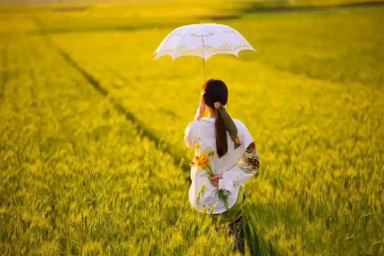 明白珍惜,淡然,简单,随缘比什么都重要,一个人最好的活法,接受自己的