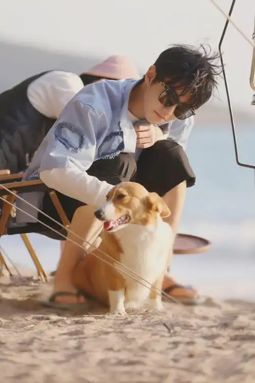 王俊凯海边慵懒风vlog