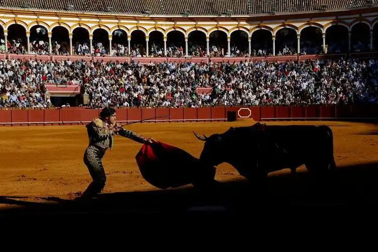 西班牙塞维利亚举行新冠疫情以来首次斗牛表演