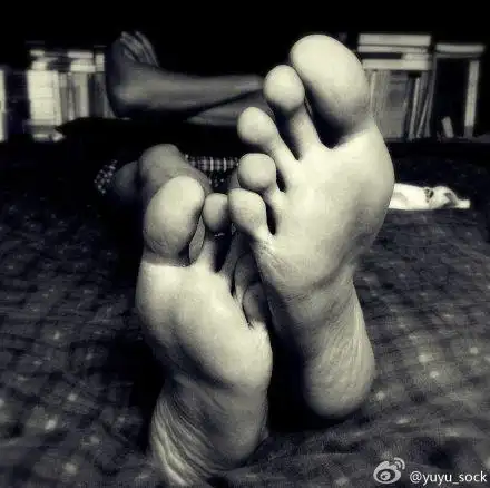 德立dellis@dido-太子@darren煜@红楼隔宇@白色