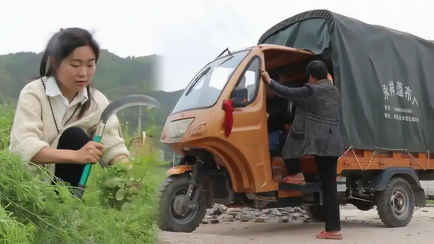 90后农村妹子一家这是干啥?三轮车都出动了!勾起你的童年回忆!