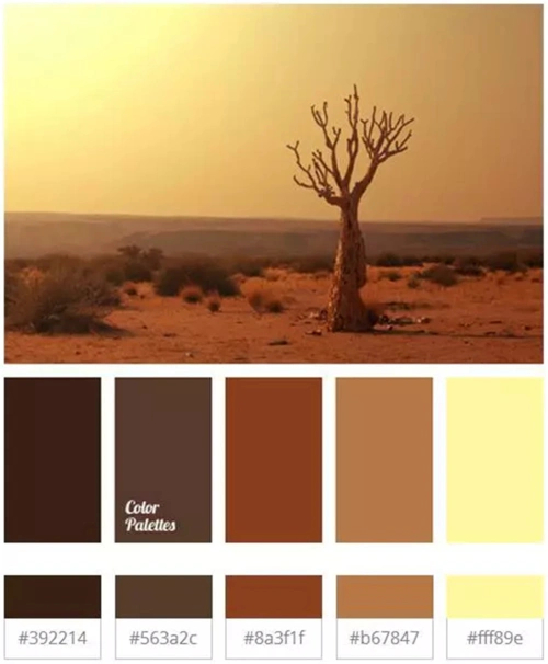 大自然才是最好的色彩搭配师,景观规划的灵感,不服来辩!