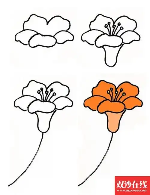 画花朵简笔画教程简单漂亮(漂亮的花朵简笔画素材)(5)