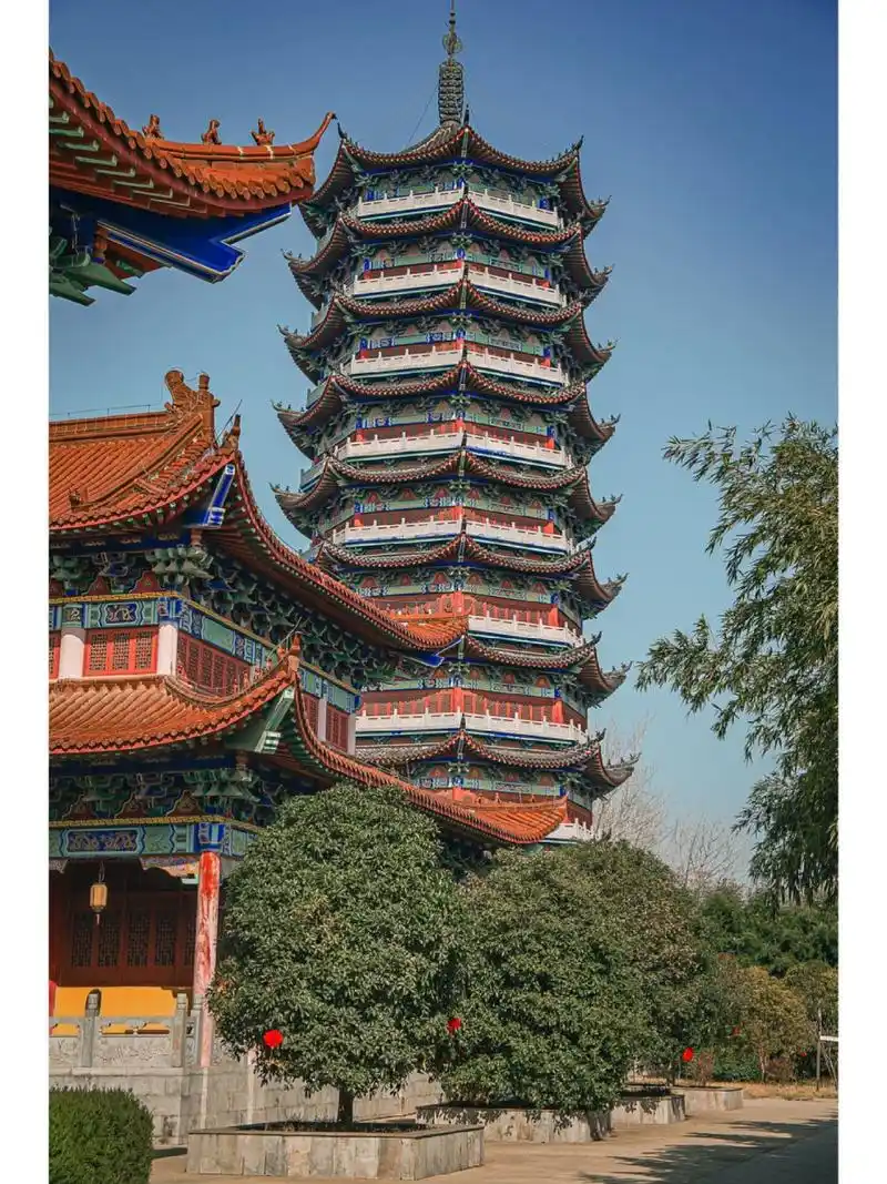 亳州观堂镇观音寺打卡