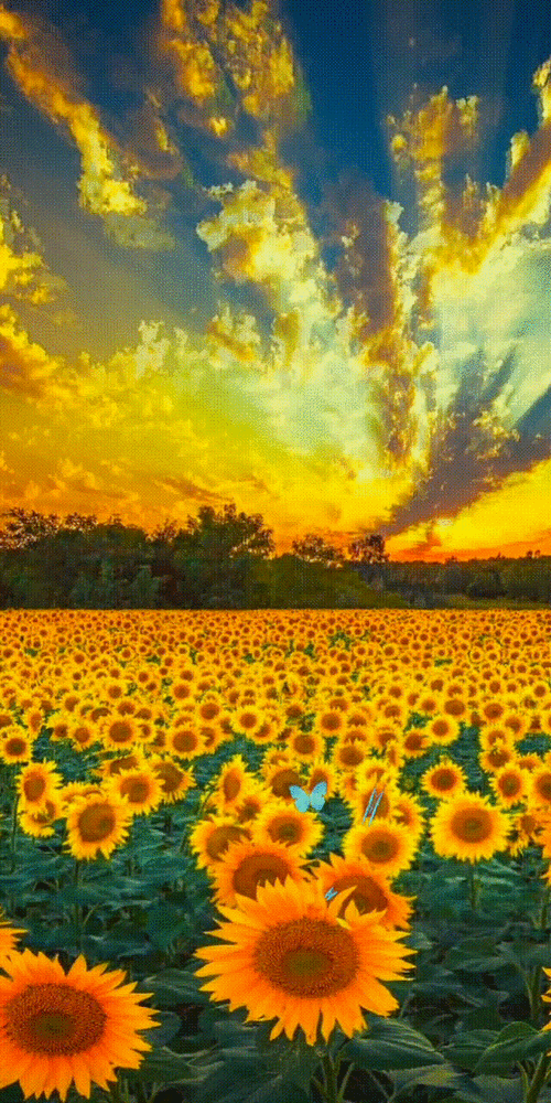 640_1280竖版 竖屏gif 动态图 动图