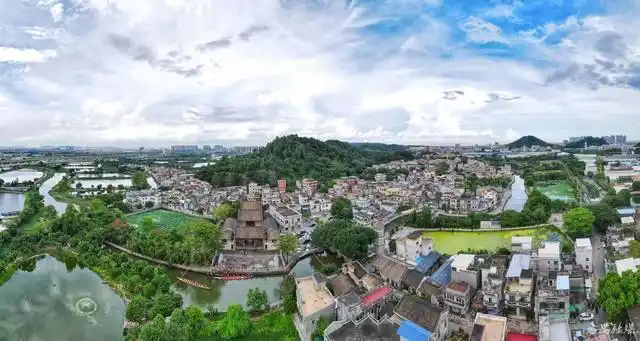 5月30日下午,番禺区在石楼镇大岭村显宗祠内举办文史广州番禺行"读懂