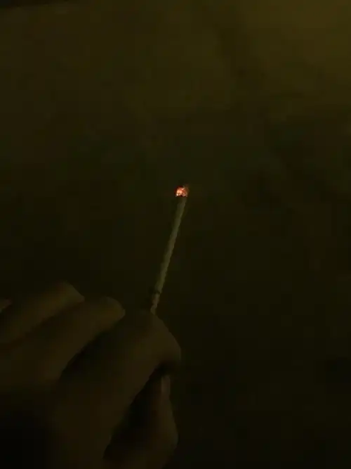 今天去看了龙猫,点了一支烟