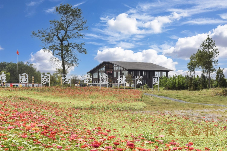 在凌家滩国家考古遗址公园,感受"中华文明的曙光" - 江淮风情 - 徽帮