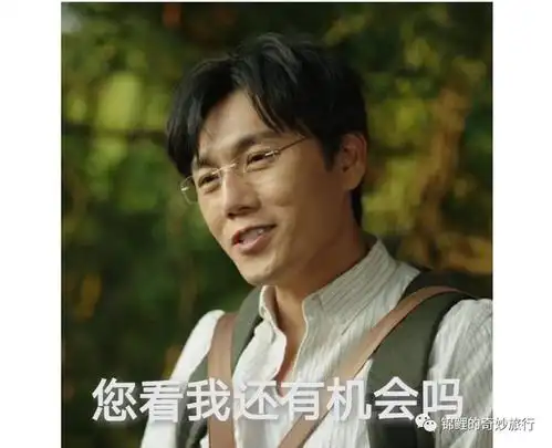 假如张东升问出"我还有机会吗",我该如何通过沟通策略保命