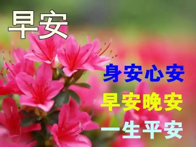 9张非常漂亮早上好鲜花动态图片带字祝福语,温馨的早安问候语祝福大全