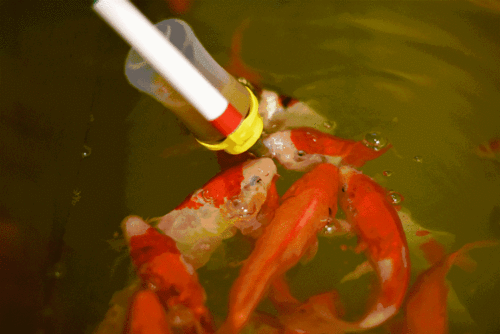 1264_844gif 动态图 动图