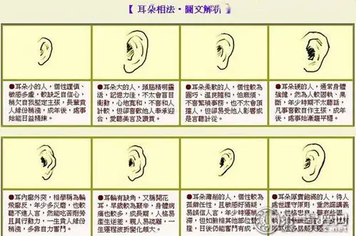 叶氏命理:耳朵形状也有命运说